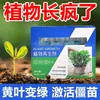 Solução Revitalizante para Flores, Plantas Verdes e Plantas de Vasos; Solução Nutritiva Universal para Caules Amarelados, Árvores da Fortuna e Crescimento de Suculentas