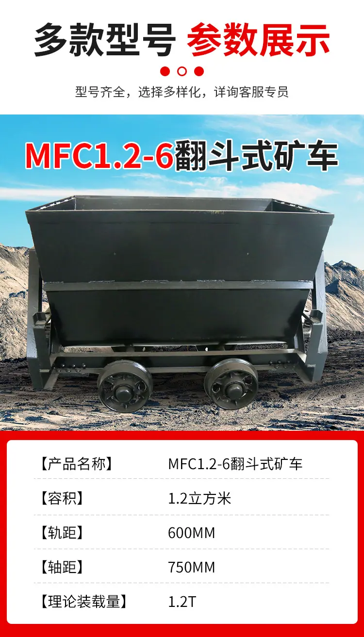 MFC1_03.jpg