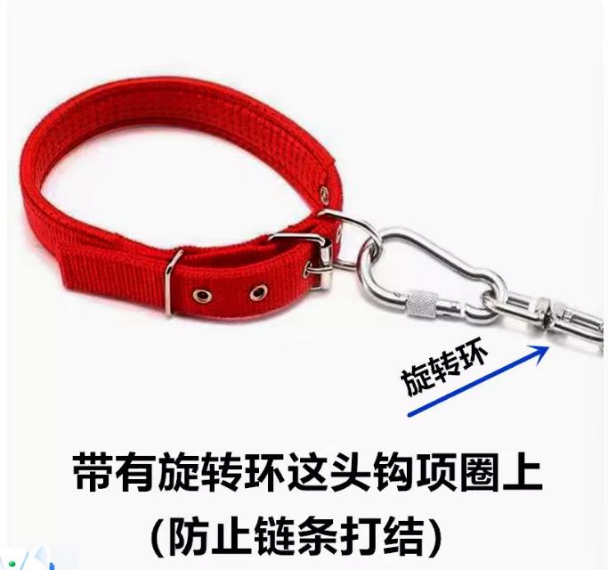 9d17597f-ce1d-4d15-8a79-2879fd