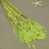 Flor mágica hierba de la pequeña esperanza eterna ramo flor real Natural Alto sentido ins estilo nórdico sala de estar decoración jarrón Flor eterna