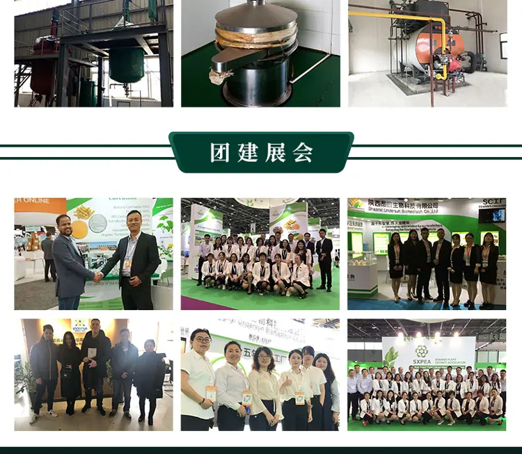 刺五加提取物详情页2_05