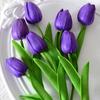 Mini Plástico PU Flor Tulipán Simulación Flor Artificial Transfronterizo Comercio Exterior Flor de Seda Boda Decoración del Hogar Fabricante de Flores Venta al por Mayor