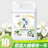 Detergente para Roupas 5kg Aroma Gardênia, caixa inteira atacado, pacote econômico para uso doméstico, pacote a granel da loja oficial principal