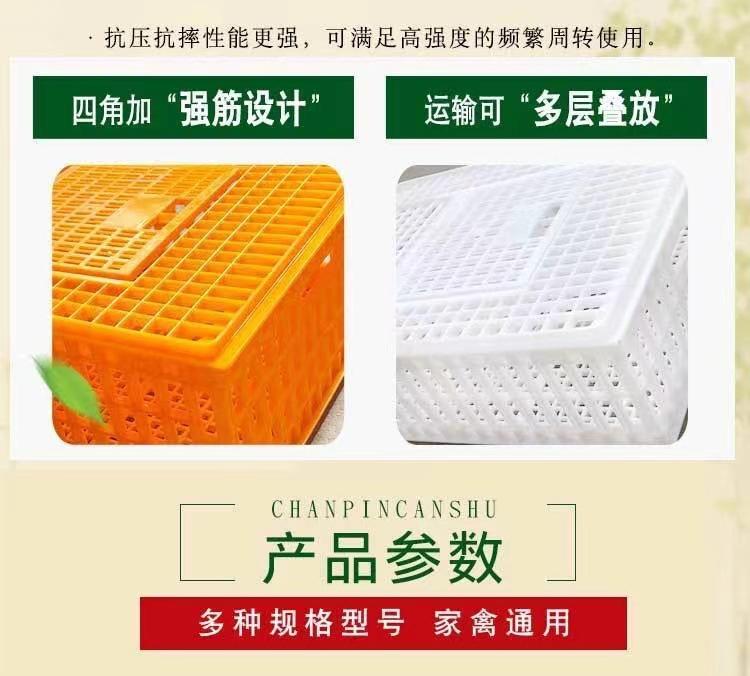 微信图片_20241113160145