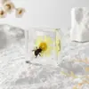 A Fábrica de Artesanato Zhongkun vende espécimes de insetos genuínos como itens decorativos, embutidos em resina de alta transparência, como brinquedos científicos educativos para crianças.