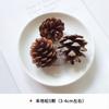 DIY pinha decorativa frutas secas frutas cruzadas Golden Bell frutas flores secas aromaterapia vela cera Marca Jelly Wax material diy decorativo