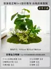 Musgo para Paisajismo de Plantas Verdes Plantas Artificiales Decoración Flores Artificiales Combinación Tropical para Interiores Paisaje de Ventana Persa Arreglo de Césped