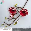 Pintura de Magnólia com Três Cabeças Phalaenopsis com Três Cabeças Decoração de Paisagem Interna para Casa Flor Artificial Layout de Fundo Externo Flor de Seda