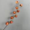 Linterna de palacio de simulación, fruta de alta calidad, linterna de niña, venta al por mayor, accesorios de fotografía florales para el hogar, linterna colgante de fruta