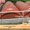 Saco de Biogás de Argila Vermelha de Pvc Piscina de Biogás Saco de Biogás de Argila Vermelha Período de Entrega Limite Software Piscina de Biogás