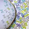 Accesorios para Uñas con Lazo Transparente Transfronterizos, Estilo Lujo Ligero con Lunares 3D, Decoraciones Pequeñas de Lazo de Resina para Uñas Wearables