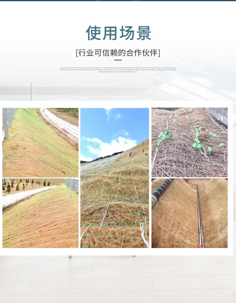 详_03.jpg