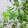 Flores Artificiais, Plantas Verdes Reais, Campanula Japonesa, Horsewood, Árvores Artificiais, Decoração de Interiores, Plantas em Vasos, Paisagismo, Árvores Falsas Atacado