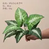 Hojas artificiales de Monstera y Alocasia para paisajismo de jardines, arreglos de plantas verdes para hoteles, centros comerciales y decoración del hogar, plantas en maceta