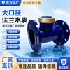 Medidor de agua de paletas rotativas con brida Medidor de agua mecánico de gran diámetro para agua del grifo Medidor de agua con brida para protección contra incendios de ingeniería PN16 PN25