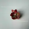 Filme Orquídea Borboleta 5,5cm Estilos Arranjo de Parede de Flores para Casamento Flores Pequenas Criativas DIY Caixa de Presente de Feriado com Decoração de Flores