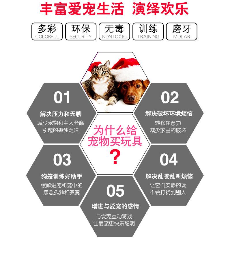 宠物不到胶