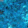 Micro-Paisaje Personalizado DIY Materiales Clásicos Colorida Mini Estrella de Mar Botella de los Deseos Decoración Artesanal Pura Artesanía