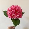 Simulación de hortensia grande hidratante 3D, 176 piezas, decoración de hotel, decoración floral para bodas, película de flores falsas, hortensia