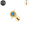 Pendientes de Titanio Elegantes Europeos y Americanos Transfronterizos Aleación de Titanio G23 Moda Grado Médico Joyería para Perforaciones Rosca Interna Zirconia Marquise