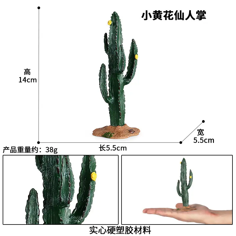 M106小黄花仙人掌sku