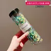 Diadema para el Cabello de Niña Banda Elástica Pequeña para Bebé Niña Banda Elástica para Niña Cuerda para la Cabeza de Niña Banda Duradera para el Pulgar Diadema Cuerda para el Cabello Accesorios para el Cabello