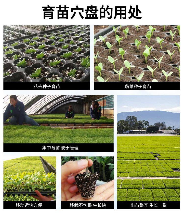 穴盘_07