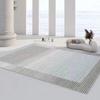 Alfombra de Franela Nórdica de Lujo Ligero Sala de Estar Alfombra Grande Abstracta Dormitorio Alfombra de Cabecera Manta Completa Alfombra Suave y Delicada con la Piel