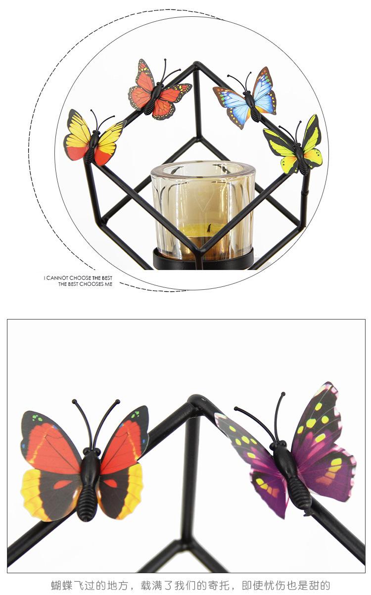 蝴蝶1_09.jpg