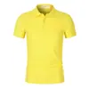 Camisas Polo Masculinas de Primavera e Verão com Logo Estampado, Manga Curta Bordada para Trabalho, Atacado para Grupos Corporativos