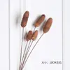 Algodão de Xinjiang Flores Secas Luxo Eterno Buquê Real Pinhões Naturais Secos ao Ar Kit de Material DIY Ornamentos Decorativos Estilo Ins