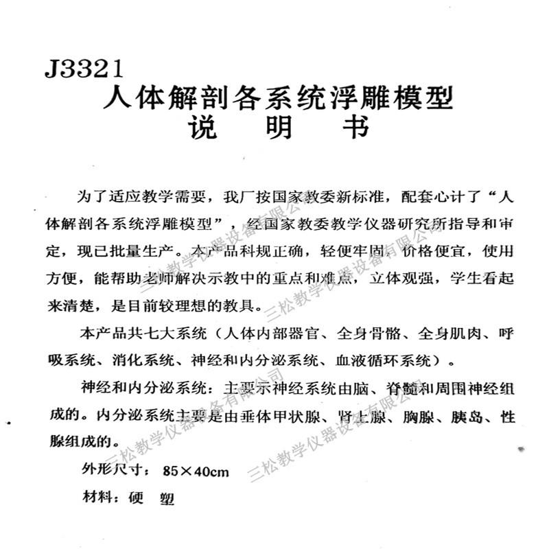 人体神经系统浮雕模型6_副本