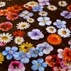Pacote de Adesivos Retro Story Série Duoduo Tema Floral Pintado à Mão Livro de Mão DIY Adesivos Decorativos 25 Peças em 6 Estilos