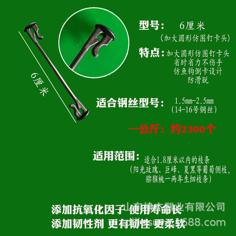 规格图6厘米1