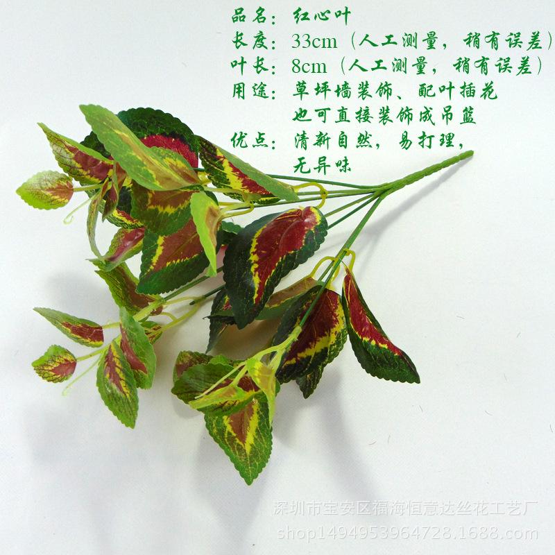 DSC00546 副本