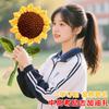Ganando el Primer Premio de una Vez, el Ramo Terminado de Girasoles Tejido a Mano, el Sentido del Ritual para el Examen de Ingreso a la Preparatoria, el Examen de Ingreso a la Universidad, el Título de la Lista Dorada, el Regalo de Ánimo
