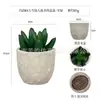 Planta en Maceta Artificial Mini Transfronteriza Hecha a Medida Adornos de Escritorio Bonsái Suculento de Simulación Flor Artificial Planta Verde Pulpa Suculenta Planta en Maceta