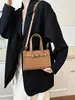 Bolso cruzado de nicho coreano para mujer, bolso de hombro versátil de alta gama para el día a día, bolso de mano simple a la moda, lujo ligero