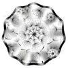 Mu007 Diente de León Pequeño Transparente Planta Placa Ondulada Vajilla Festiva Set de 6 Piezas para 8 Personas Plato de Papel Papel de Seda