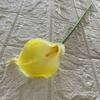 Flor Artificial Mini Ferradura Única Decoração de Casa Adereços de Fotografia Toque Macio Borracha Ferradura Lótus Arte Exportação