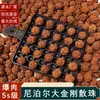 Alta Qualidade Nepal Explosivo Carne Grande Vajra Contas Soltas Noz Semente Crua Masculino Cultural Brincadeira Artesanal DIY Vajra Bodhi Pulseira