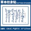 Pegatina de tatuaje de hierbas con diseño de planta de jugo, nombre en inglés, para hombres y mujeres, impermeable, de larga duración, simulación