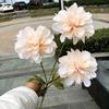 A nova simulação de 3 cabeças de crisântemo Reno champanhe bola de cebola verde cosmos decoração de salão de casamento flor falsa atacado