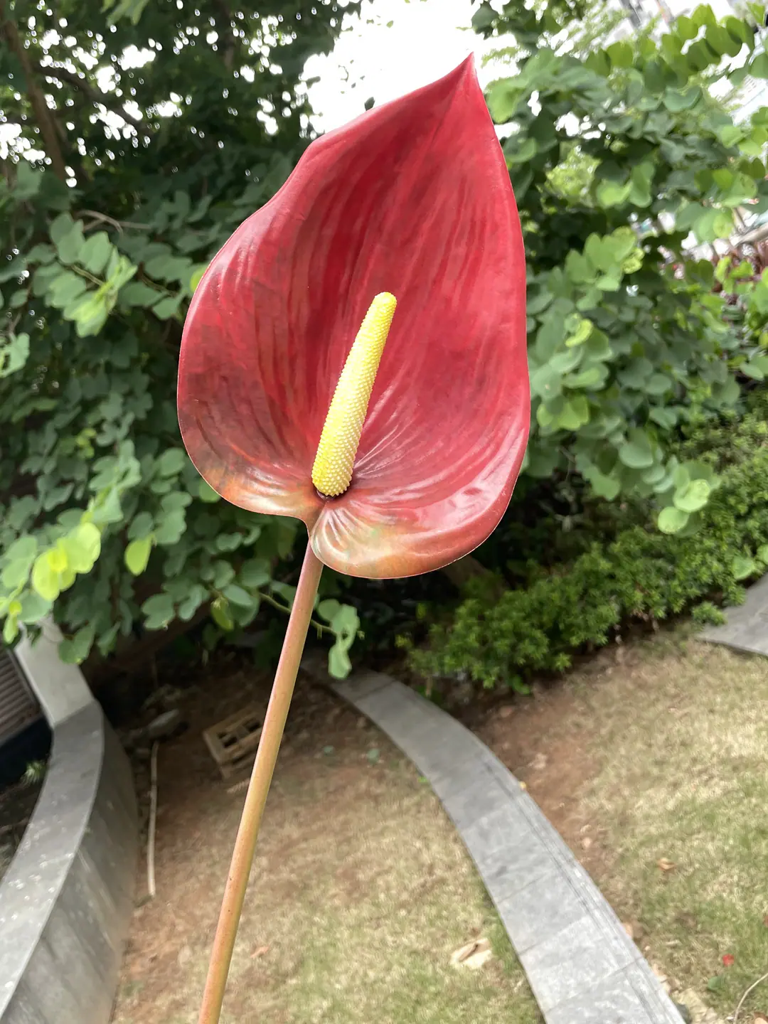 微信图片_20210721140345_副本.jpg