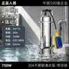 Bomba sumergible de acero inoxidable 304 para uso doméstico, resistente a la corrosión, alto levantamiento, alto flujo, doble propósito para limpieza y drenaje (De la gente)