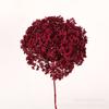 Hortensia Flor Eterna Flor Seca Anna Wood Hortensia DIY Materiales Florales Decoración de Arreglo Floral para el Hogar Arte Floral de Boda Decoración Suave
