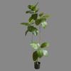 Simulado Simulado Caucho Baniano Estilo Wabi-Sabi Decoración Interior para el Hogar Adornos Grandes de Pie para Piso Plantas Verdes Falsas Paisajismo Bonsái