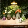 Vaso de Vidro Sódio-Cálcio Personalizado Transfronteiriço, Pote de Armazenamento, Estilo de Padrão em Malha de Luxo Leve, Decoração de Sala de Estar, Armazenamento de Vaso de Flores Estilo Europeu