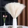 Hierba de pampa artificial corta de seis puntas transfronteriza flor de simulación en stock decoración del hogar pluma de simulación accesorios de boda al por mayor