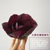Modelo de Verdura Simulada Lechuga Falsa Repollo Brócoli Hojas Verdes Hojas de Shanghái Modelo de Gabinete Decoración para Casa
